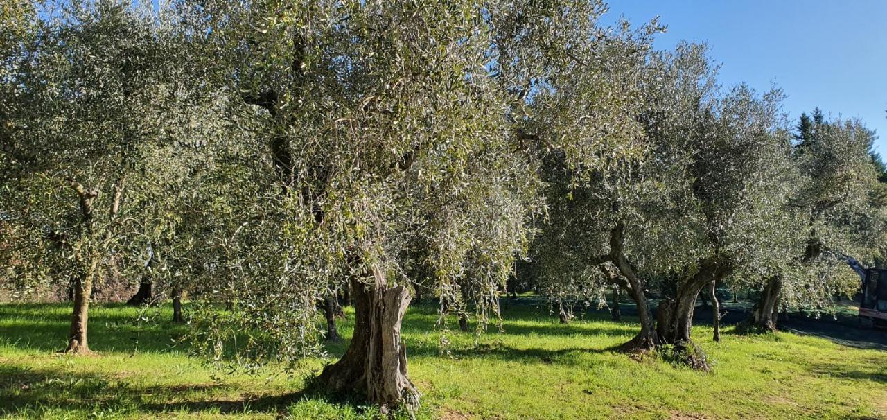 Commuoversi Ssa - Azienda Agricola Hotel Usigliano Luaran gambar