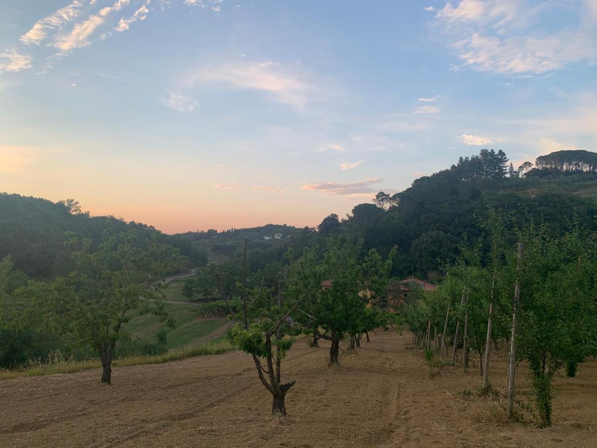 Commuoversi Ssa - Azienda Agricola Hotel Usigliano Luaran gambar