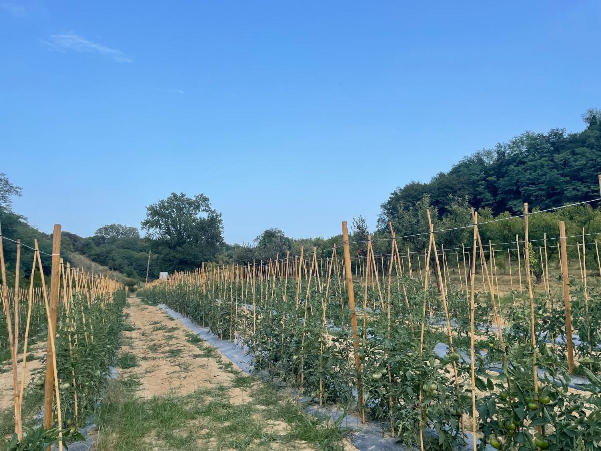 Commuoversi Ssa - Azienda Agricola Hotel Usigliano Luaran gambar